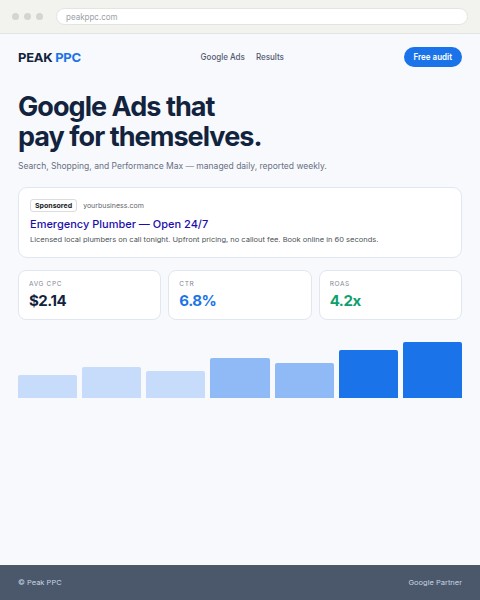 Google Ads management website concept